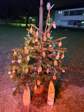 PRAZNIČNA OBČINA ŠKOFLJICA: lokalne skupnosti so okrasile smrečice v drevoredu pri zunanjem igrišču OŠ Škofljica